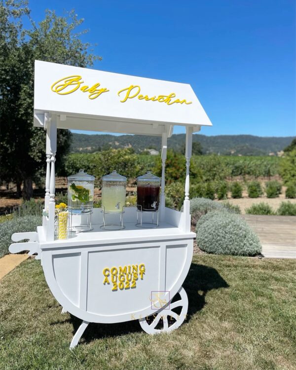 Dior Cart - Image 4