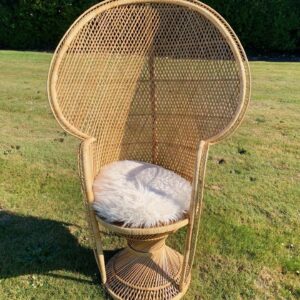 Peacock Chair