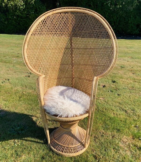 Peacock Chair