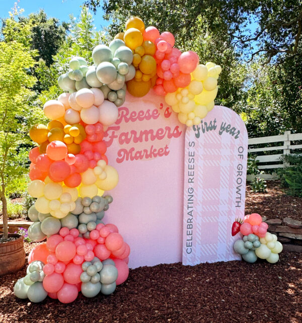 Balloon Garland - Image 12