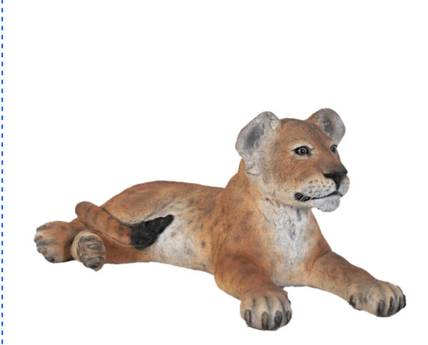 Lion Cubs - Image 4