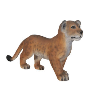 Lion Cubs
