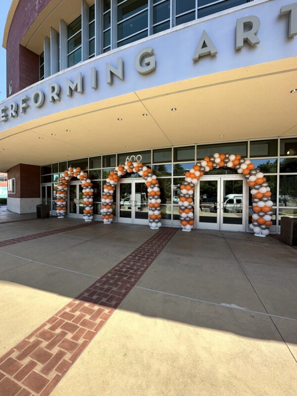 Balloon Arch - Image 3