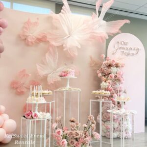Back Drop Packages